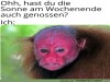 weiter