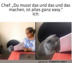 Ich-habe-keine-Ahnung.jpg auf www.funpot.net