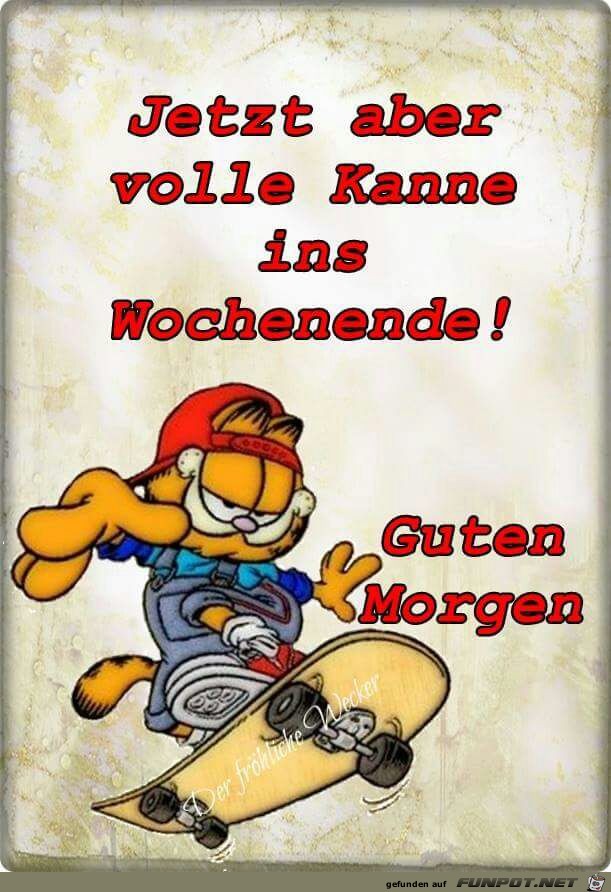 volle kanne volle kanne