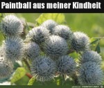 Paintball-der-Kindheit.jpg auf www.funpot.net