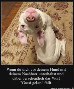 Hund-hat-sein-Stichwort-gehrt.jpg auf www.funpot.net