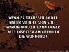 weiter