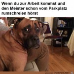 Der-Meister-hat-schlechte-Laune.jpg auf www.funpot.net