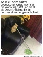 Deine-Mutter-kritisiert-dich.jpg auf www.funpot.net