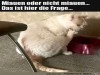 weiter