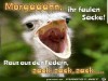 weiter