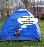Komisches-Katzenklo.jpg auf www.funpot.net