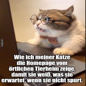 fun-Bild: Witzige Katzen-Erziehungs-Strategien