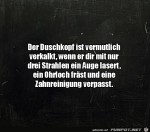 Verkalkter-Duschkopf.jpg auf www.funpot.net
