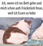 Freut-sich-aufs-Frhstck.jpg auf www.funpot.net