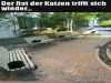 weiter