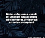 Sowas-aber-auch.jpg auf www.funpot.net