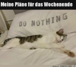 Was-ich-am-Wochenende-mache.jpg auf www.funpot.net