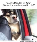Wann-sind-wir-endlich-da?.jpg auf www.funpot.net