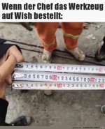 Tolle-Zollstcke.jpg auf www.funpot.net