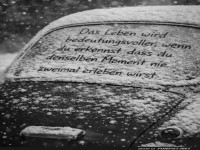 Schneewei� mit Weisheit