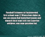 Fuball-ist-schon-faszinierend.jpg auf www.funpot.net