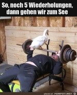 Gleich-gehen-wir-an-den-See.jpg auf www.funpot.net