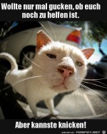 Ist-nichts-zu-machen.jpg auf www.funpot.net