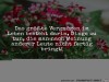 weiter
