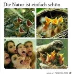 Schne-Natur.jpg auf www.funpot.net
