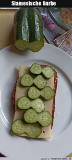 Siamesische-Gurke.jpg auf www.funpot.net