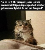 Wichtige-Angelegenheit.jpg auf www.funpot.net