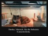 weiter
