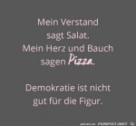 Mein-Verstand-sagt.jpg auf www.funpot.net