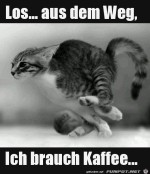 Ich-brauch-Kaffee.jpg auf www.funpot.net