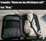 Im-Koffer-das-Wichtigste.jpg auf www.funpot.net