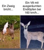 Das-ist-komisch.jpg auf www.funpot.net