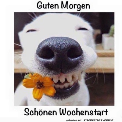 Blumiges-L&auml;cheln-f&uuml;r-den-Wochenstart!.jpg von Nachtstern