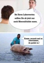 Nur-noch-Meeresfrchte-essen.jpg auf www.funpot.net