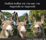 Gruppen-Treffen.jpg auf www.funpot.net