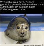 Bier-vergessen.jpg auf www.funpot.net