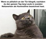 Wer-klingelt?.jpg auf www.funpot.net