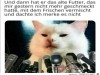 weiter