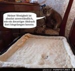 Wer-war-das-nur?.jpg auf www.funpot.net