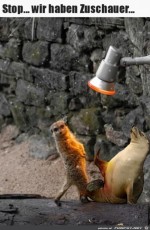 Wir-haben-Zuschauer.jpg auf www.funpot.net