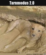 Ein-Schlamm-Hund.jpg auf www.funpot.net