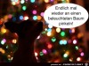 weiter
