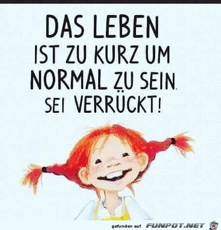 das leben ist zu kurz das leben ist zu kurz
