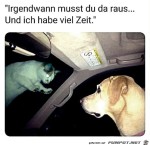 Irgendwann-musst-du-da-raus.jpg auf www.funpot.net