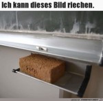 Man-kann-den-Tafelschwamm-riechen.jpg auf www.funpot.net