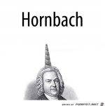 Hornbach.jpg auf www.funpot.net