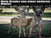 weiter