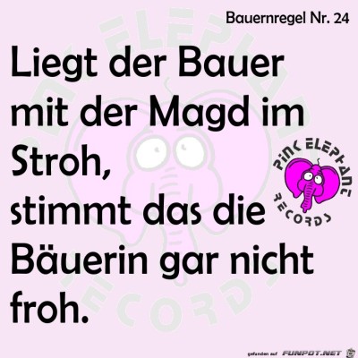 0214---Bauernregel-24.jpg von Digge