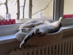 Kannst-Du-auch-so-schlafen?.jpg auf www.funpot.net