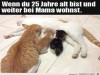 weiter